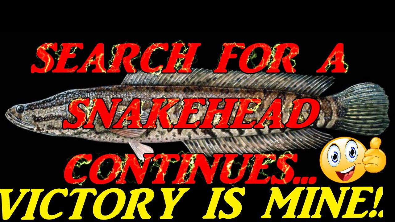 SEARCH FOR A SNAKEHEAD...VICTORY IS MINE!!!