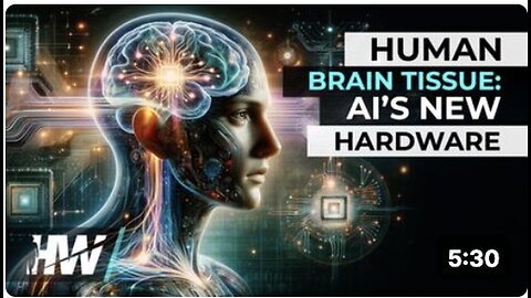 "AI's New Hardware: Human Brain Tissue"