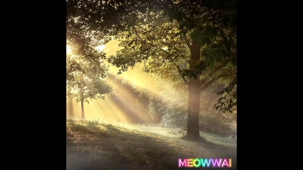 follow and share the video