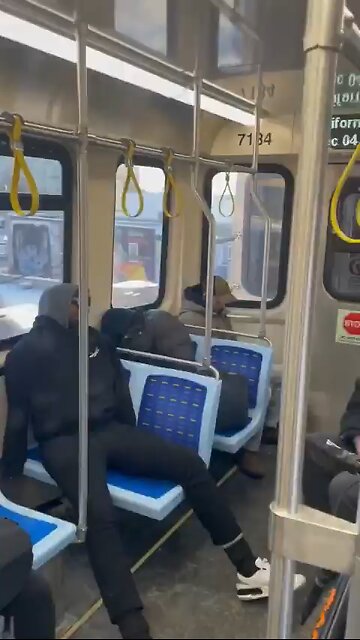 Chicago's Circle Line is filled with carriage full of homeless people who