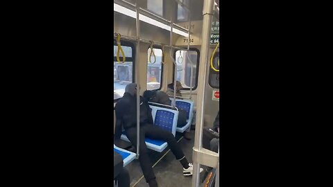 Chicago's Circle Line is filled with carriage full of homeless people who