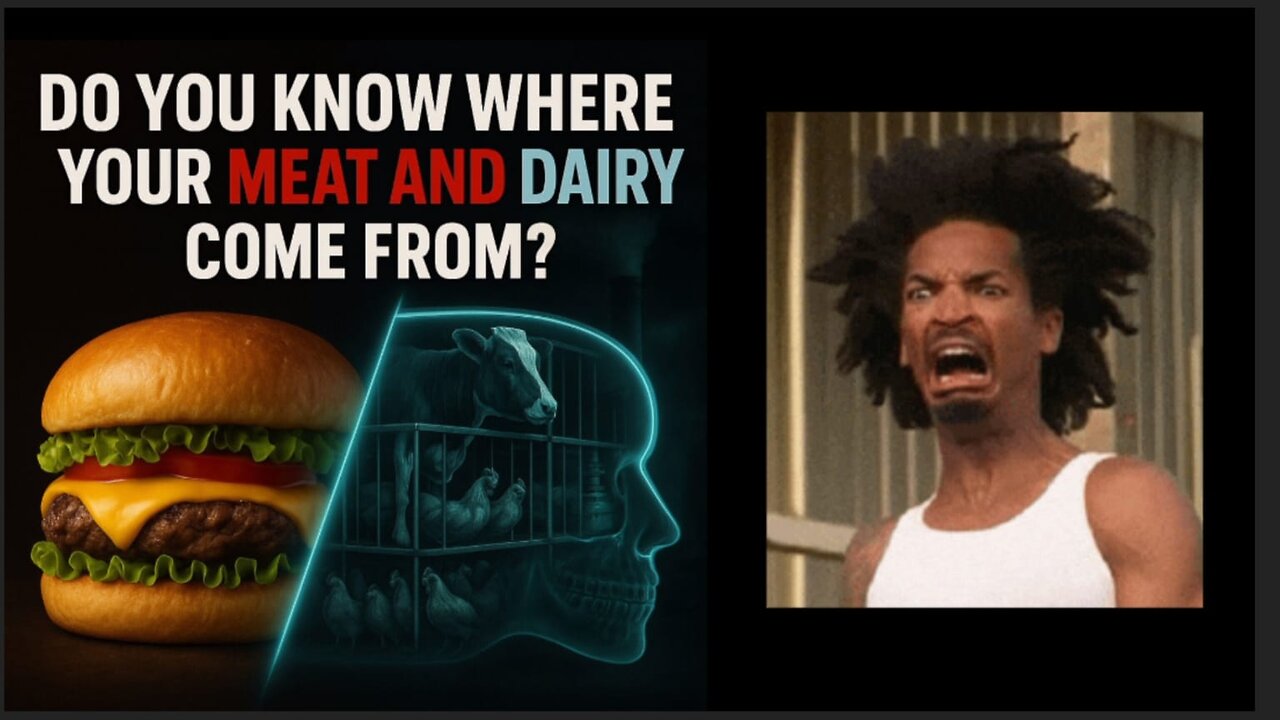 Mega Farms - The Horrific Reality #realtalk