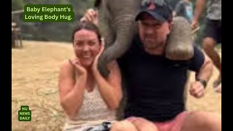 🔹 Baby Elephant Huggs A Couple with Its Trunk and Feet... How and Why ? Nu News Daily