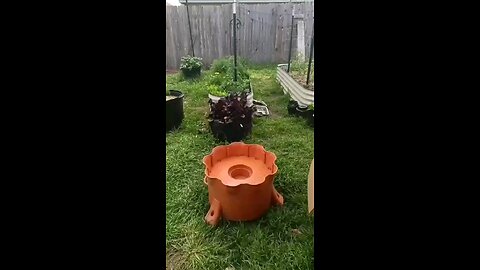 Creating your own planter
