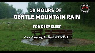 Gentle Mountain Rain for Deep Sleep | Cozy Clearing Ambience & ASMR