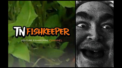 TNFISHKEEPER.COM™ 🐠 ARE YOU SCARED YET? #COMEDY