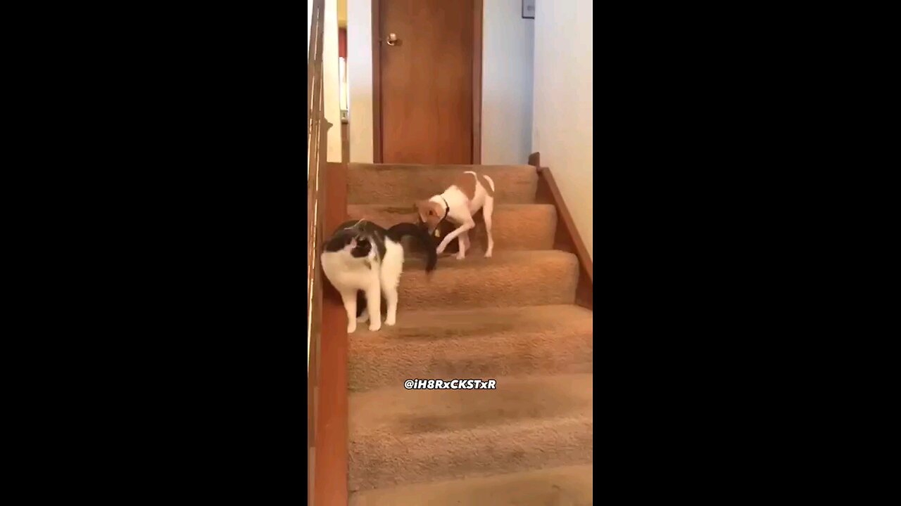 funny voice over 🤣