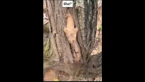 #creepyclips,