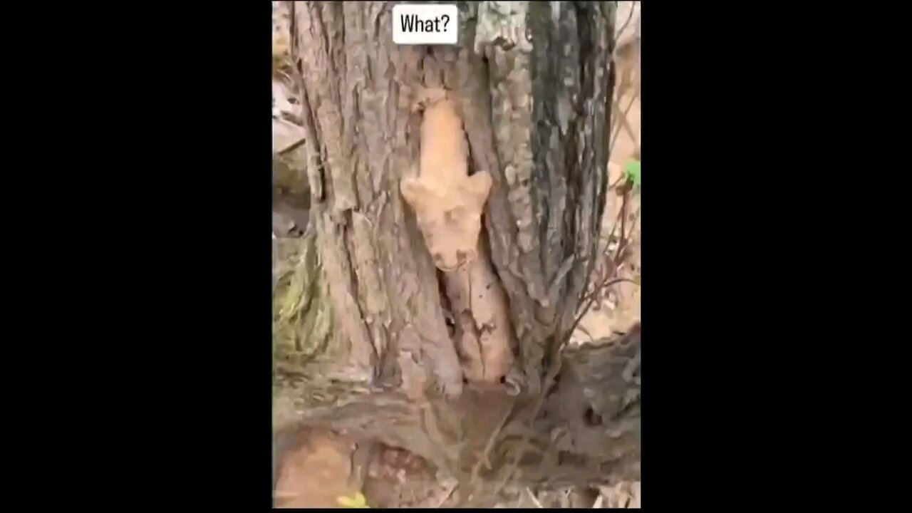#creepyclips,