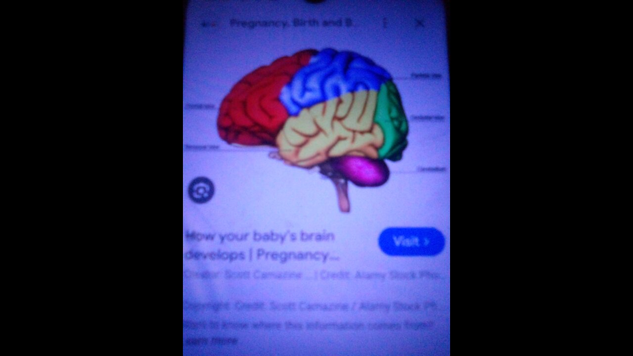 Remember Being a Baby