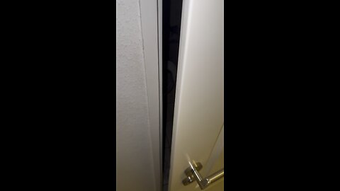 My Cat Surprise me