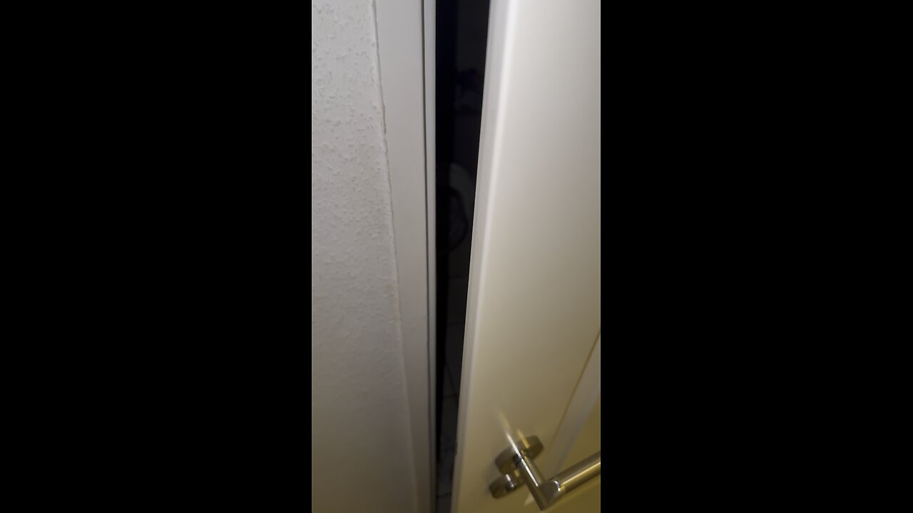 My Cat Surprise me