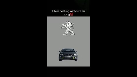car lovers