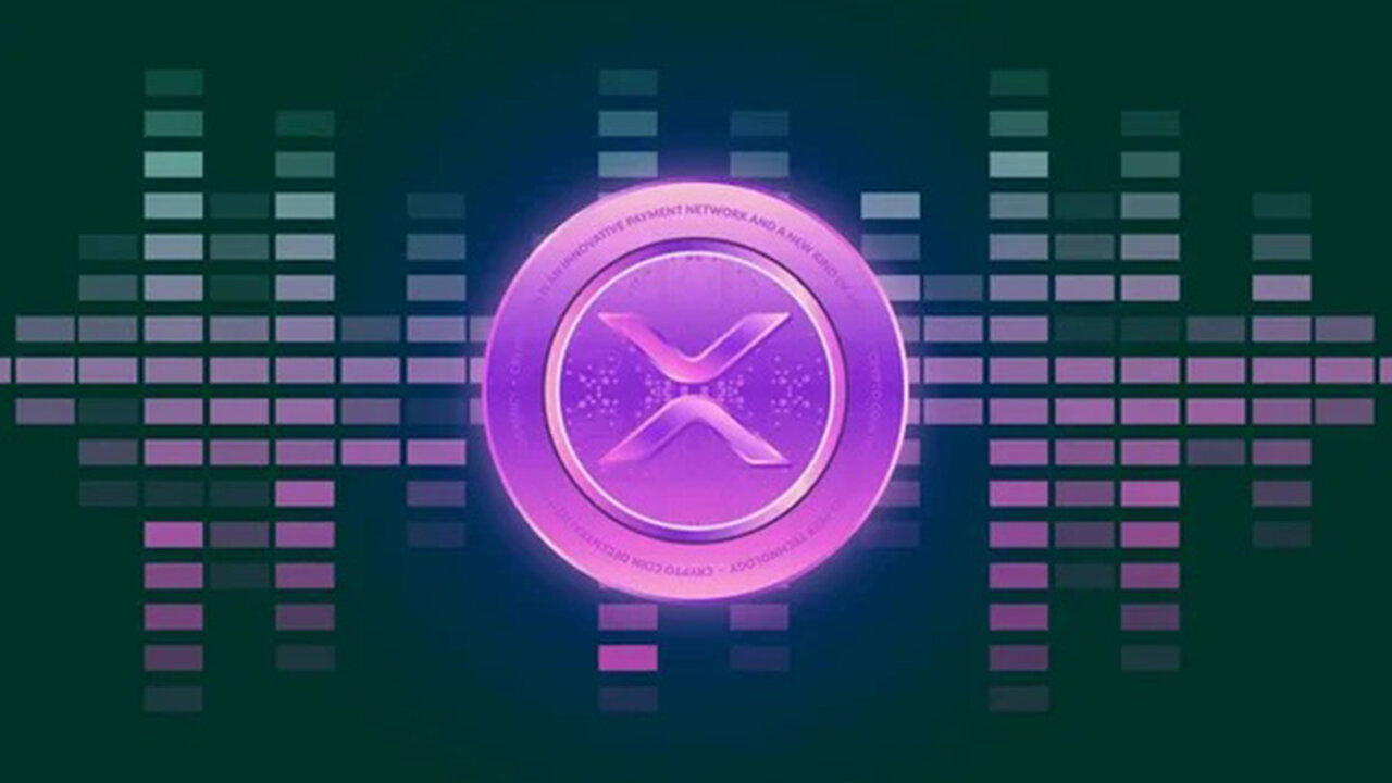 XRP DAVID SCHWARTZ HACKED FLIP IT !!!! GOVERNMENT INSIDER INFO !!!!