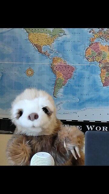 Zelensky Feels Betrayed