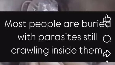 "Unlocking the Mysteries of Parasites: An In-Depth Analysis & Insights"