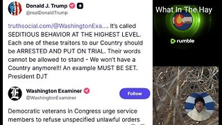 TRUMP CALLS OUT SEDITIOUS BEHAVIOR- DEMOCRATS PLAY VICTIM