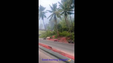 fog morning