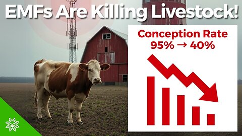 Why Livestock Fertility Is Collapsing — The EMF Crisis Destroying Farms