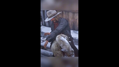 "Precision Attack" Red Dead Redemption 2