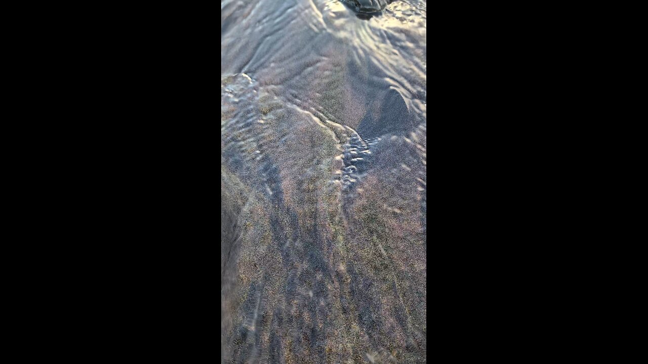 Natural Sand Art at the Beach!