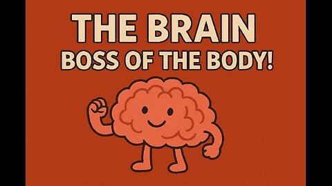 🧠 How Does Our Brain Control the Body? | Human Body Wonders for Kids