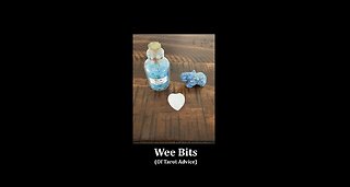 Wee Bits, Episode 2