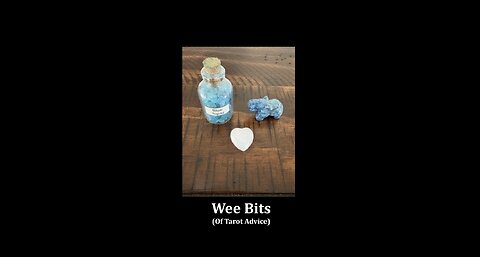 Wee Bits, Episode 2