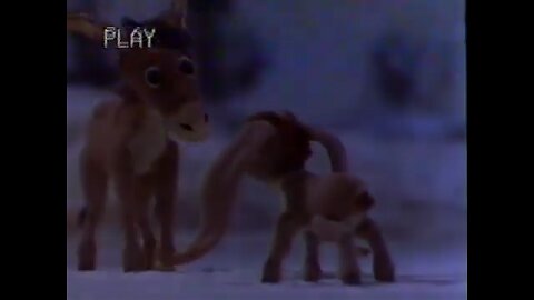 Fox Family Channel 2000 Commercial Break Part 4