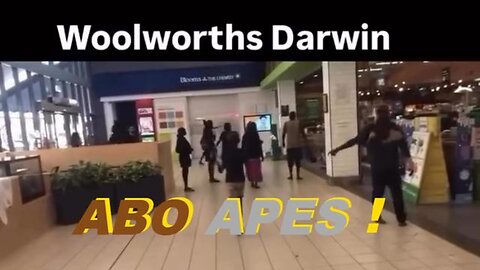 AUSTRALIA - FUCKING ABO APES STEALING IN WOOLWORTHS CAUSING A HAVOC ABOS ARE FUCKING APES