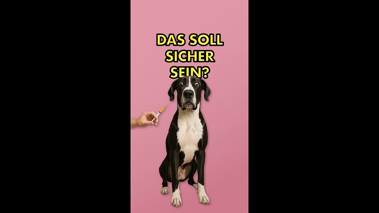 Das soll sicher für deinen Hund sein? Wirklich?