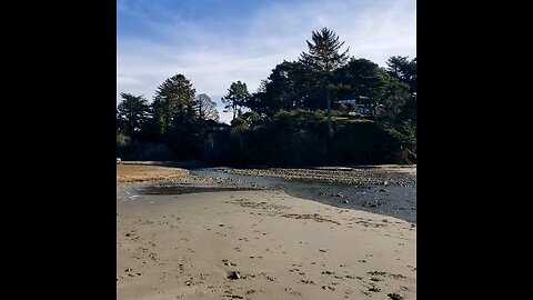 Hare Creek Beach Hike From Hidden Pines RV Campground in Fort Bragg California. December 30th, 2025.