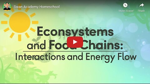 Ecosystems and Food Chains: Interactions and Energy Flow Slideshow