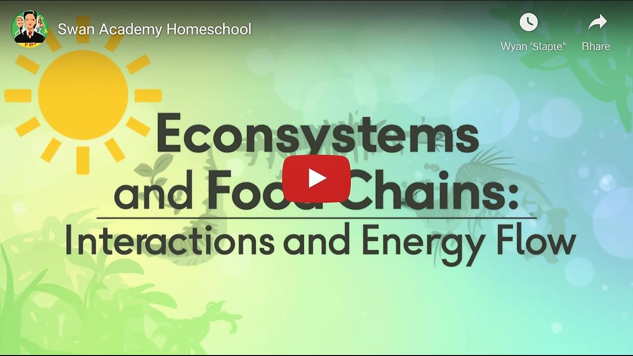 Ecosystems and Food Chains: Interactions and Energy Flow Slideshow