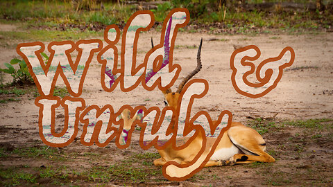 Wild & Unruly: Episode 1