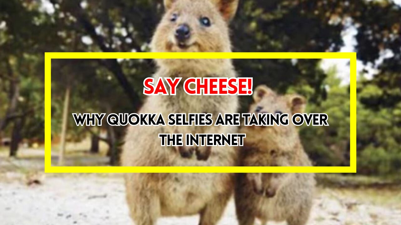 Say Cheese! Why Quokka Selfies Are Taking Over the Internet