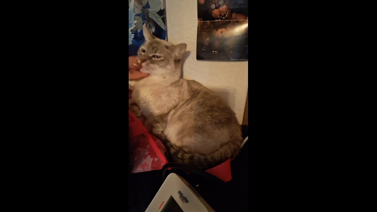 Casper