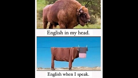 What a horrible noise 2