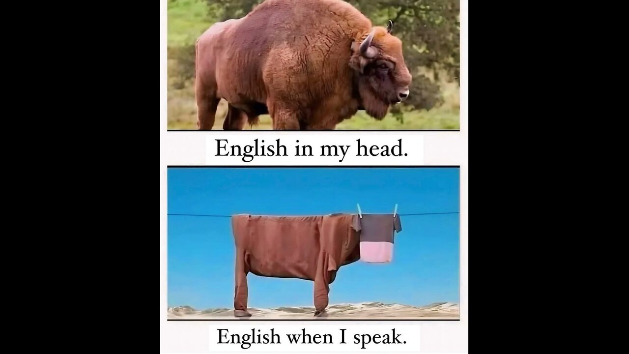 What a horrible noise 2