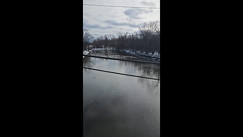 Large Flocks of Water Fowl Gathered Together in the Middle of Salt Creek