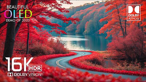 Beautiful Nature Dolby Vision 16K HDR (16K Video ULTRA HD)