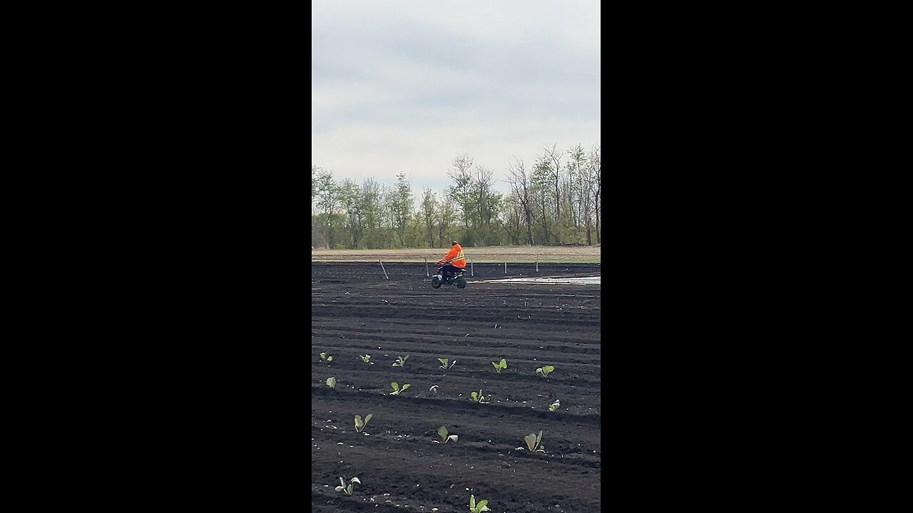 tim minibike may 18 2025 part2