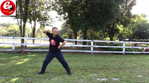 Aerobic Tai Chi Workout-011 -Overbody Throw Posture