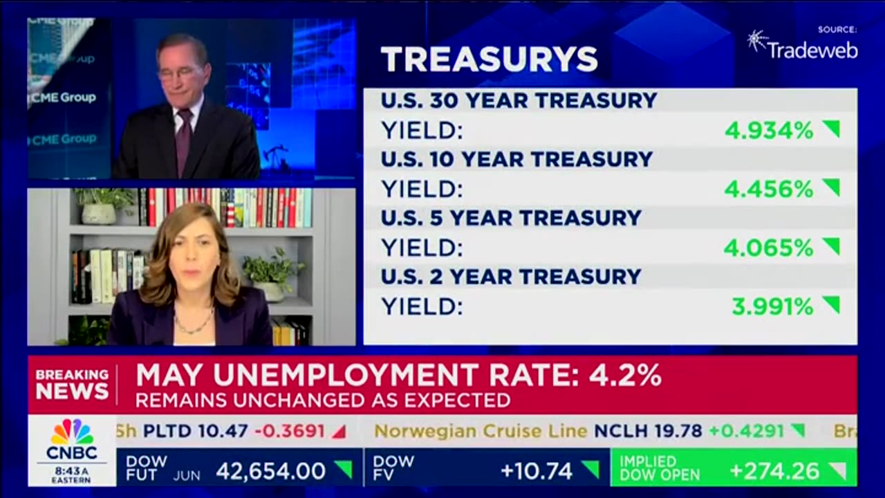 CNBC's Santelli Goes Nuclear On Guest Pushing Green Energy