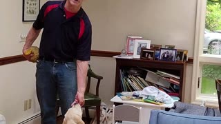 Molly's First Lesson short 1