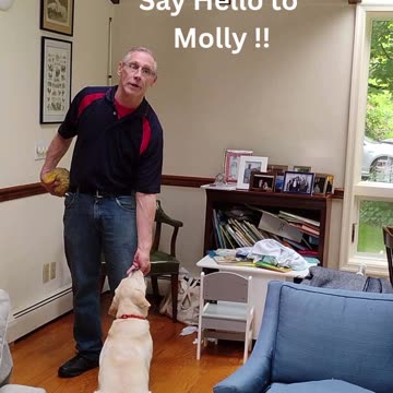 Molly's First Lesson short 1