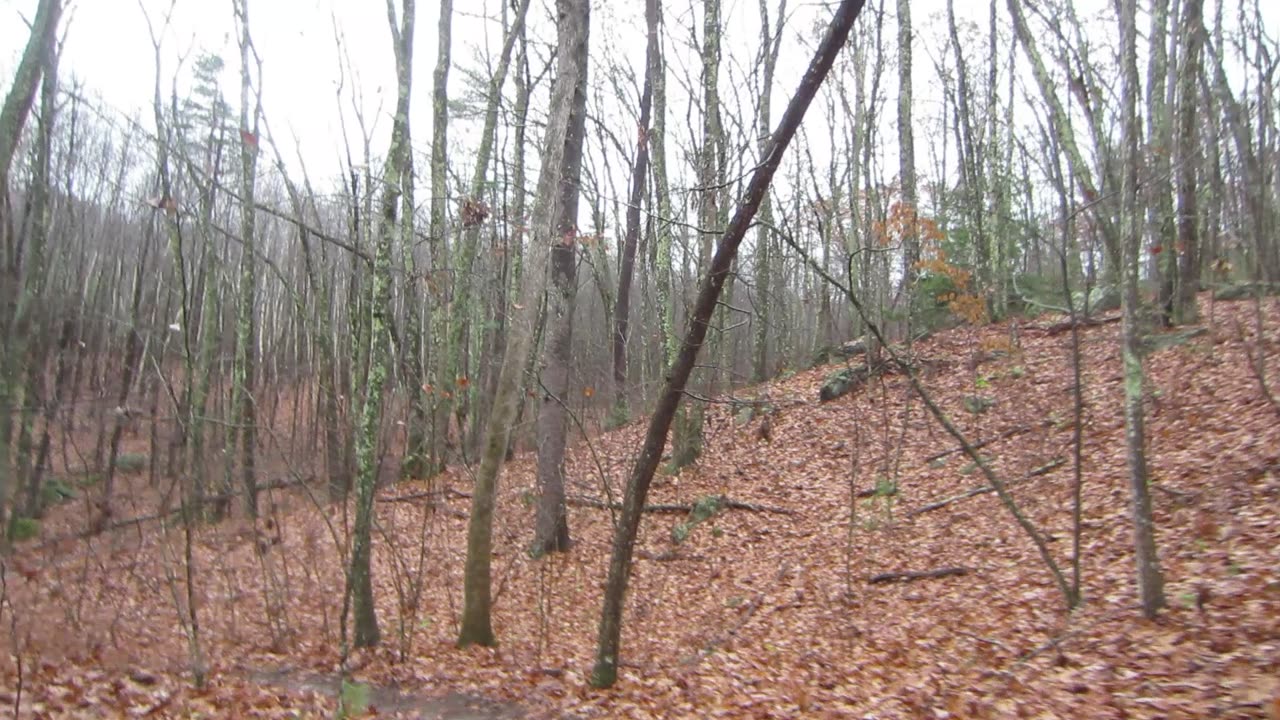 Comet 3I/Atlas has got me scratching my head these days.