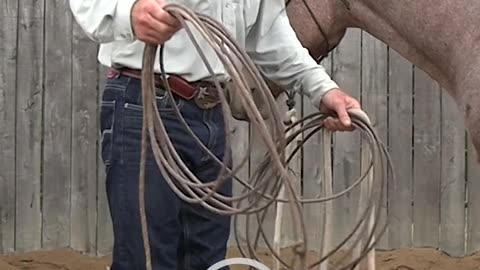 We love @3:10ranchlife ropes!