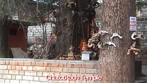 Ghatotkach Temple Manali | The Abode of Bhima's Mighty Son