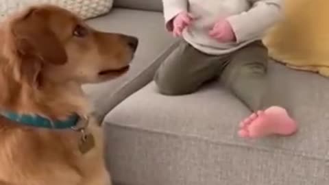 Cute Baby Playing With Animals | Adorable Baby & Pets Moments | Funny Animal Reactions”